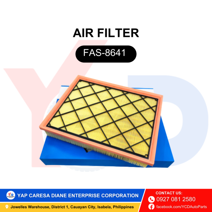 AIR FILTER | FAS-8641